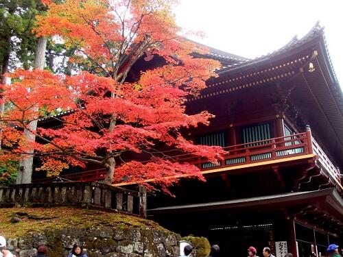 5 Tempat yang Harus Dikunjungi Saat Musim Gugur di Jepang