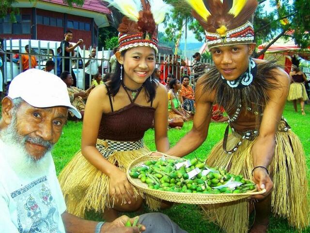 Ada Apa Dengan Pohon Pinang ?