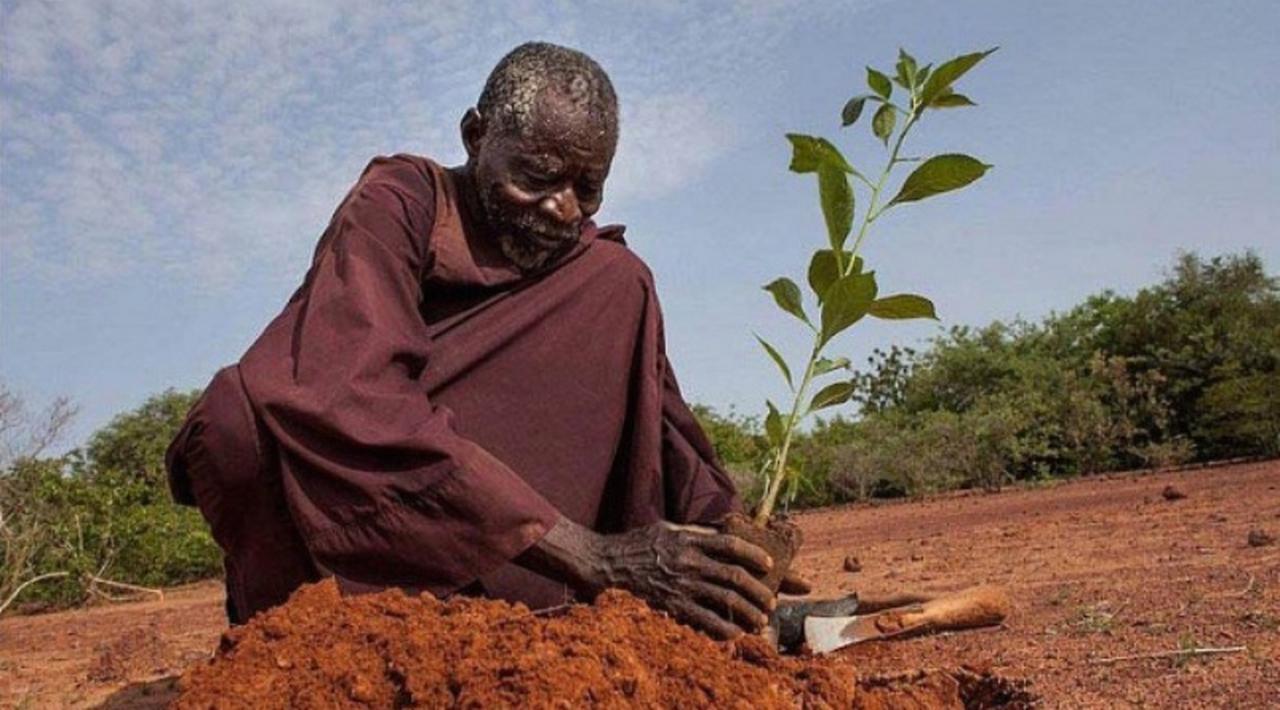 Ikan hingga Sperma, Ini 8 Benda yang Terancam Langka di Bumi