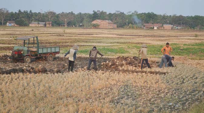 Ikan hingga Sperma, Ini 8 Benda yang Terancam Langka di Bumi