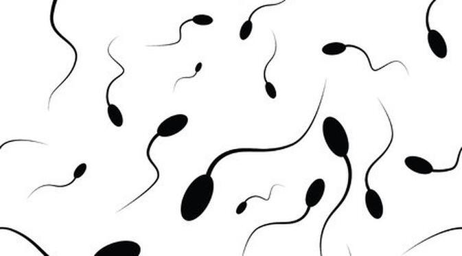 Ikan hingga Sperma, Ini 8 Benda yang Terancam Langka di Bumi