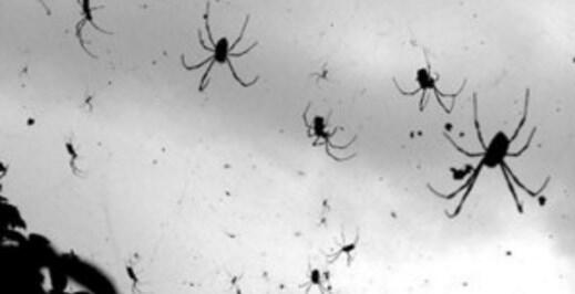 Selain Hujan di Tebet, Ini 6 Fenomena Alam Misterius Lainnya