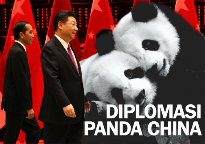 Diplomasi Panda China di Indonesia