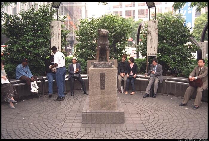 Beberapa spot menarik di Shibuya yang gak boleh dilewatkan 