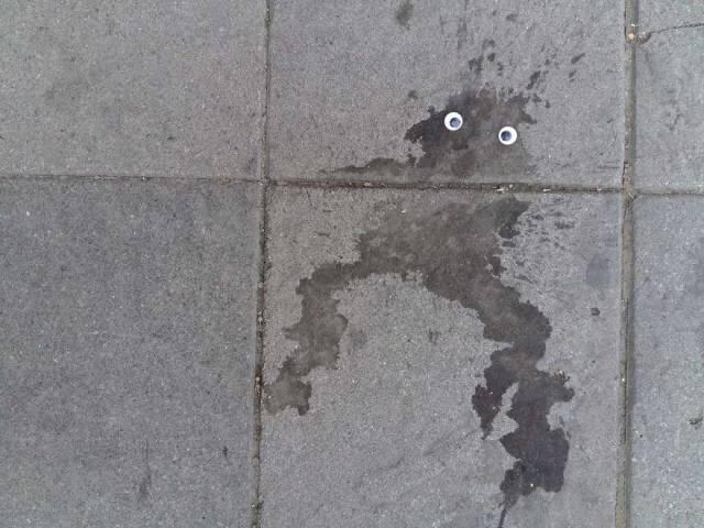 Googly Eyes Bisa Membuat Sesuatu Jadi Hidup 