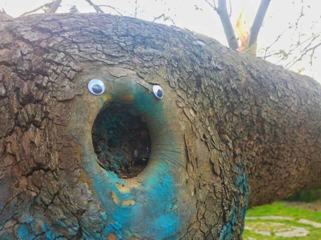 Googly Eyes Bisa Membuat Sesuatu Jadi Hidup 