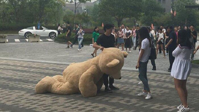 Nyatakan Cinta dengan Beruang Raksasa, Pria Kaya Ini Tetap Ditolak Gadis Pujaannya