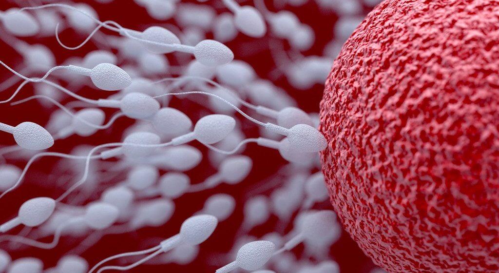 Ada 27 Virus Yang Bisa Ditularkan Lewat Air Mani