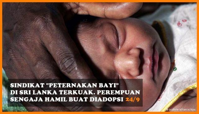 Deretan Berita Populer Minggu Ini Dari Peternakan Bayi sampai Boneka Nikita Mirzani