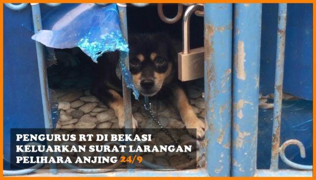 Deretan Berita Populer Minggu Ini Dari Peternakan Bayi sampai Boneka Nikita Mirzani