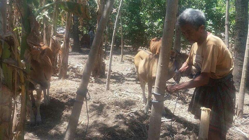Sahabat Media Sosial Bali Peduli Pengungsi Gunung Agung