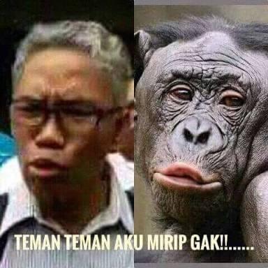Dituntut 2 Tahun Penjara, Buni Yani: Berat