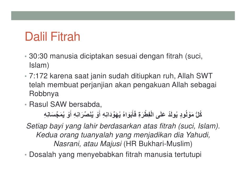 bangsa viking sebenarnya beragama islam