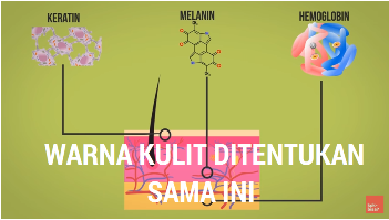 Kenapa Warna Kulit Kita Berbeda? *Explained With Animation*