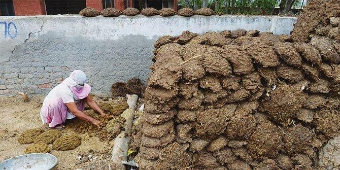 5 Barang tak terduga ini bisa menjadi pengganti listrik dan gas