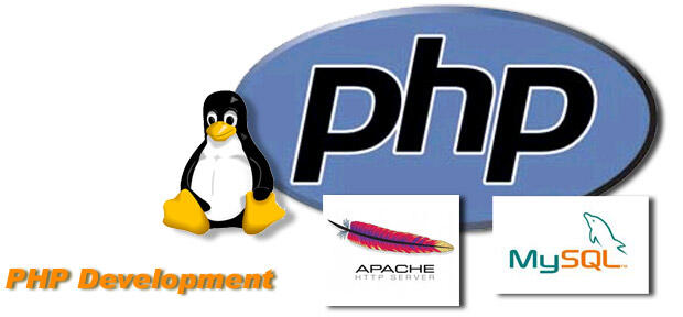 Apa itu PHP Native ?