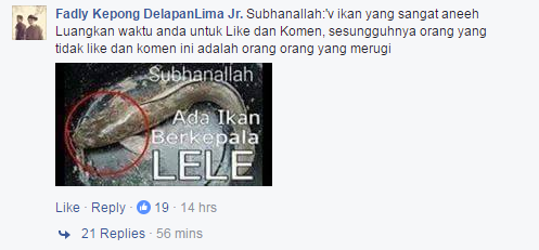 15 komentar Facebook yang gak jelas tapi ... ah sudahlah ... 