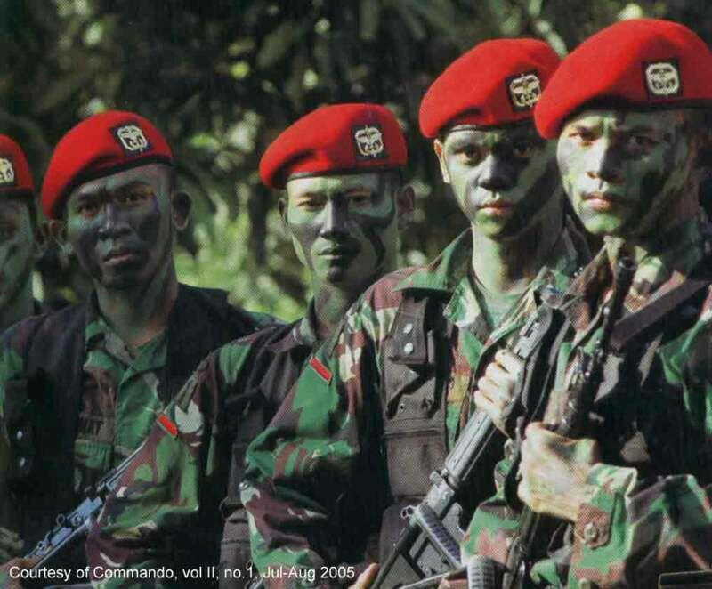 Ini Arti Warna dan Posisi Miring Kanan-Kiri di Baret TNI