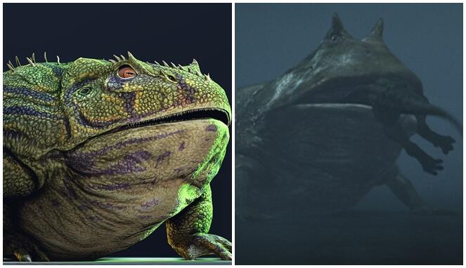 Fakta Beelzebufo, Katak dengan Julukan ‘Iblis’ yang Jadi Predator Para Dinosaurus