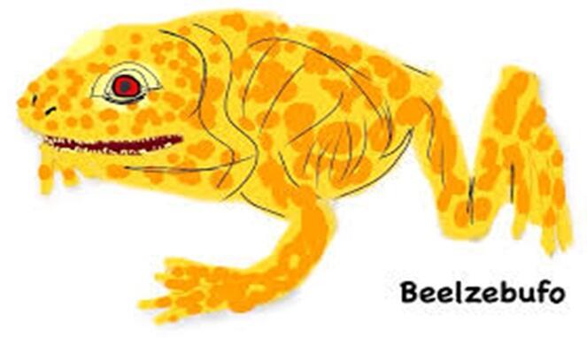 Fakta Beelzebufo, Katak dengan Julukan ‘Iblis’ yang Jadi Predator Para Dinosaurus