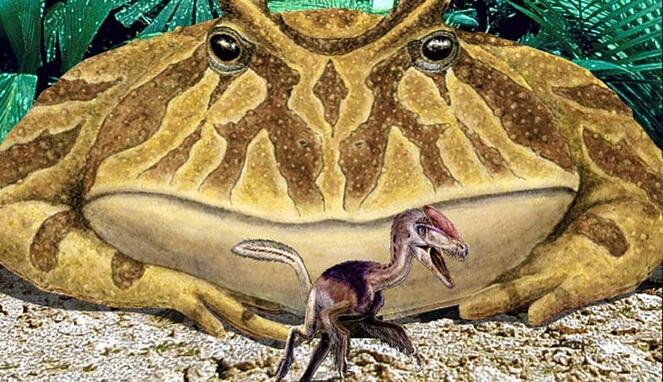 Fakta Beelzebufo, Katak dengan Julukan ‘Iblis’ yang Jadi Predator Para Dinosaurus