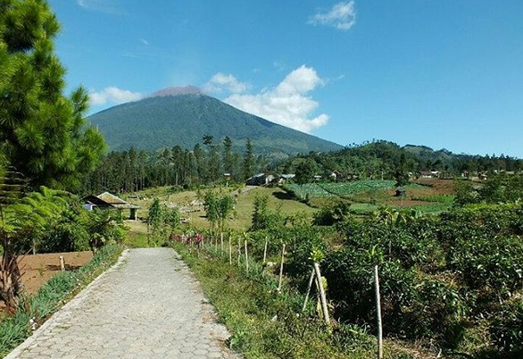 Yuk! Berlibur ke Berbagai Agrowisata Menarik di Pulau Jawa Follow 0