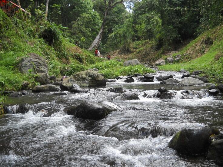 Yuk! Berlibur ke Berbagai Agrowisata Menarik di Pulau Jawa Follow 0