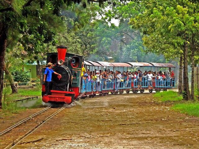 Yuk! Berlibur ke Berbagai Agrowisata Menarik di Pulau Jawa Follow 0