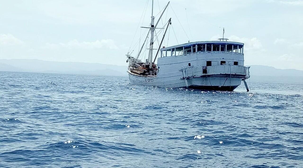 Kawanan Buaya Adang Polisi Saat Mengejar Mafia Pembalakan Liar