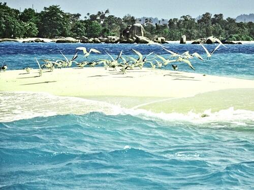 Pantai dan Pulau yang HARUS Agan Kunjungi Saat ke Belitung