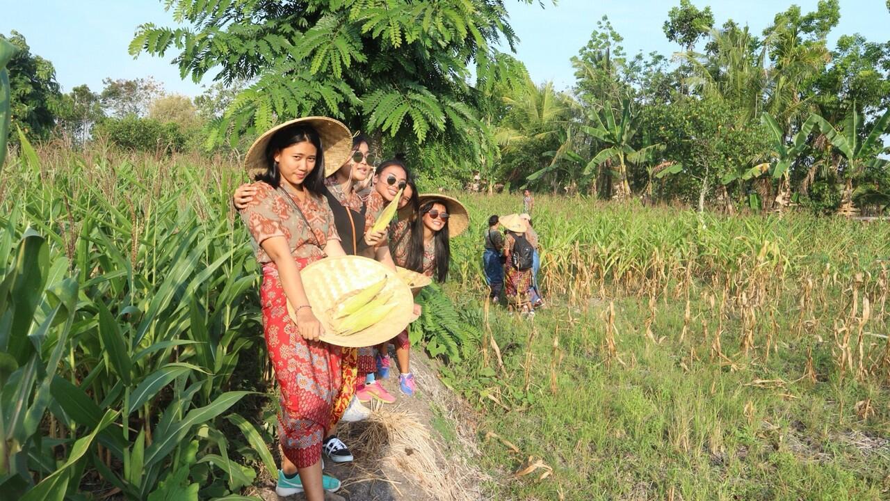 Memanggil Wisatawan Ke Desa : Panasnya Lombok, Sejuknya Setanggor.