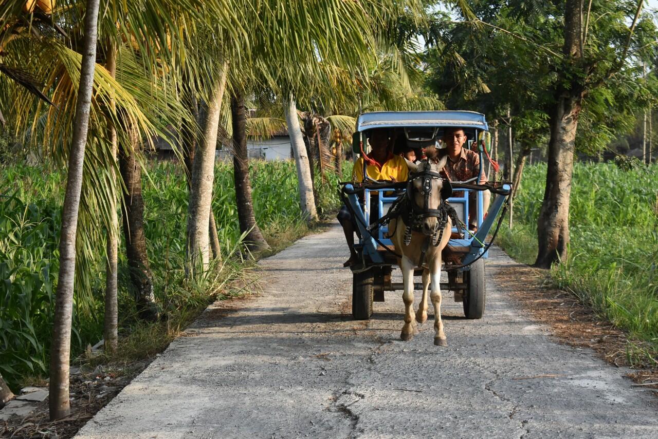 Memanggil Wisatawan Ke Desa : Panasnya Lombok, Sejuknya Setanggor.