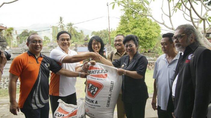 Selamatkan Peternak di Gunung Agung JAPFA Berikan Bantuan Pakan Sapi