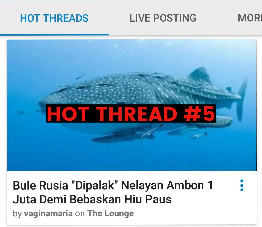 Bule Rusia &quot;Dipalak&quot; Nelayan Ambon 1 Juta Demi Bebaskan Hiu Paus