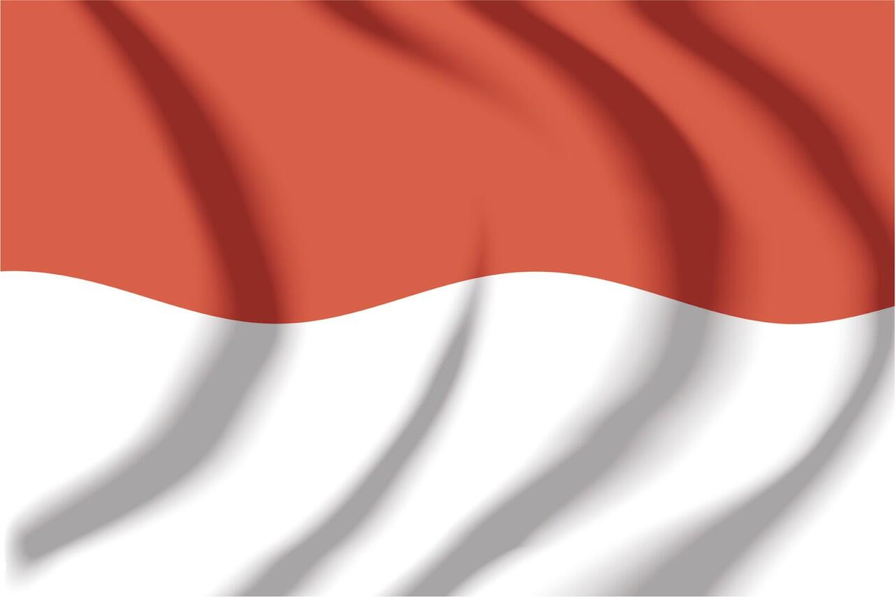 INDONESIA 5-0 BRAZIL (gak kebalik)
