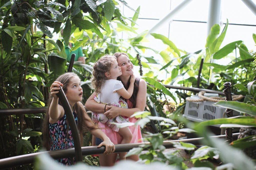 Keren!!! Ada Hutan Tropis Dalam Gedung dengan Pohon Buatan Terbesar di