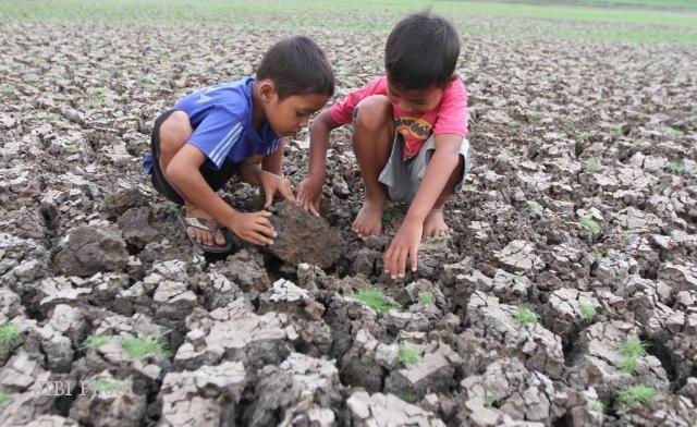 Jangkrik…. Teman Bermain Anak-Anak Yang Mengasikkan