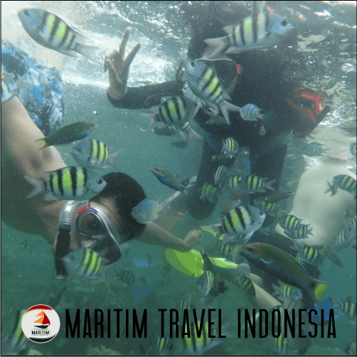 Trip Gabungan Pulau Harapan 18-19 November 2017