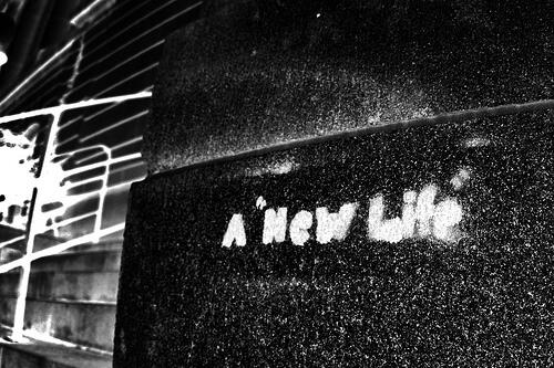 make a new life ( new born )