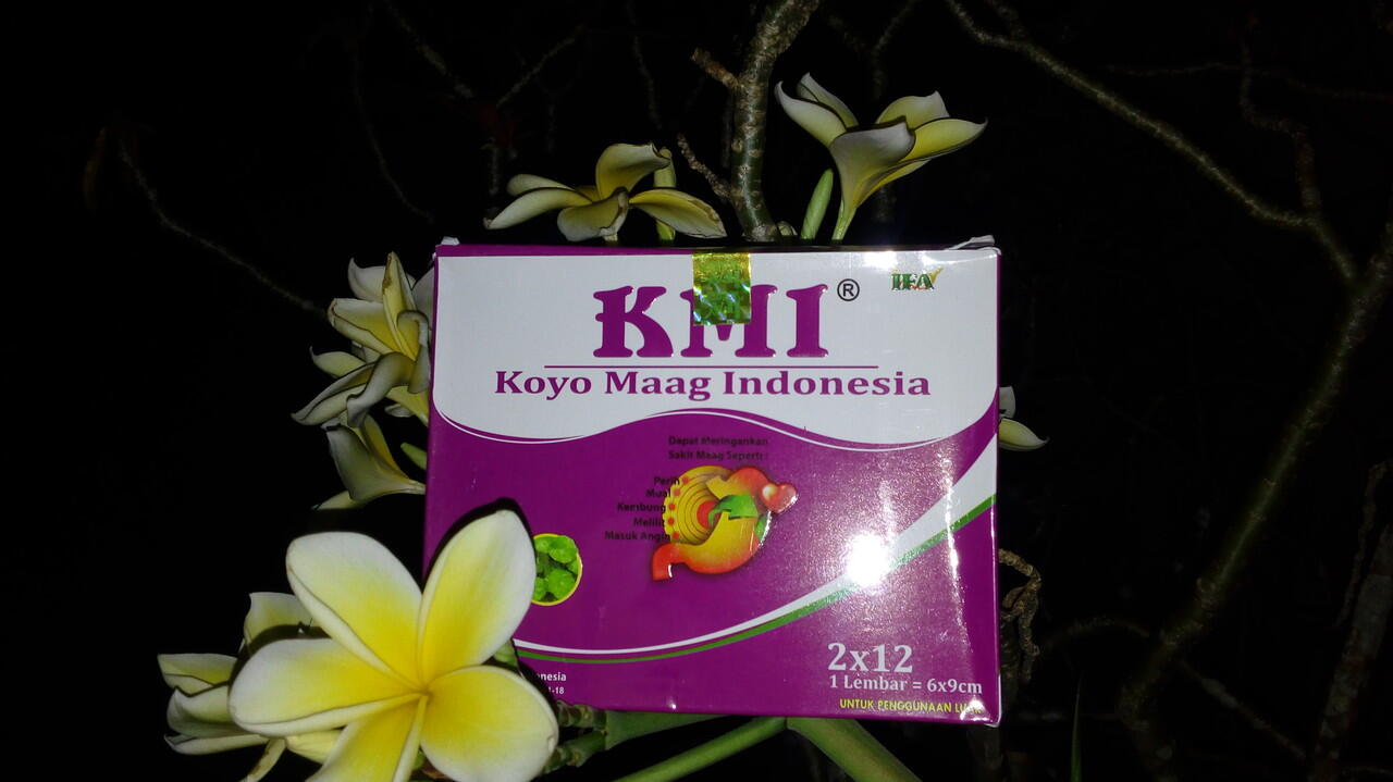Koyo Maag Indonesia