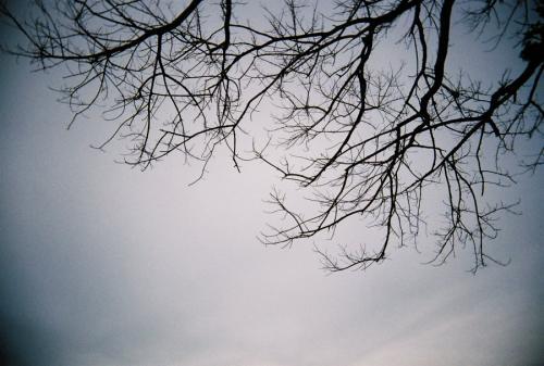 Agar Foto Traveling-mu Terlihat Menarik, Terapkan Hal-Hal Berikut