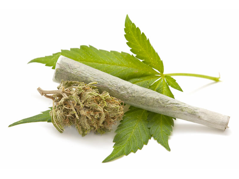 Pemilik 386 Kilogram Ganja Ditembak Mati