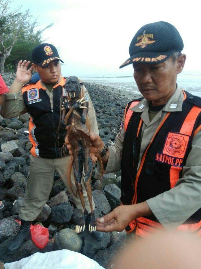 Begini Seramnya Jenglot yang Dibuang di Pantai Watu-watu Surabaya