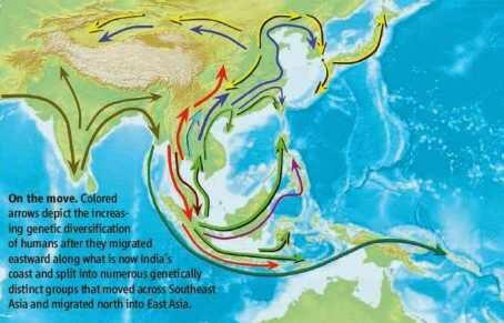 PRIBUMI NUSANTARA