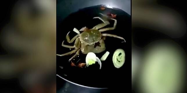 Bukannya Mati, Eeeh Kepiting Direbus Ini Malah Nyemil Bumbu