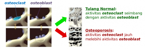 5 Manfaat Senam Pagi yang Tidak Boleh Disepelekan