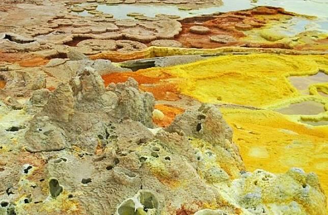 4 Makhluk Hidup Ini Bisa Tinggal Di Tempat Paling Aneh Di Bumi!