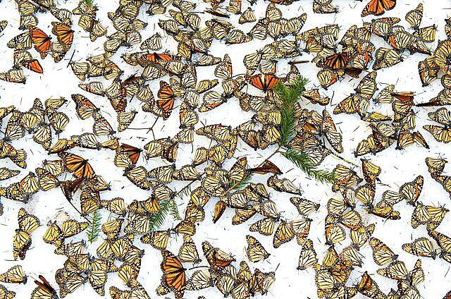 Foto-foto Favorit National Geographic Oktober 2017