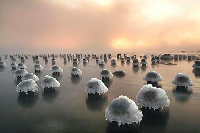 Foto-foto Favorit National Geographic Oktober 2017