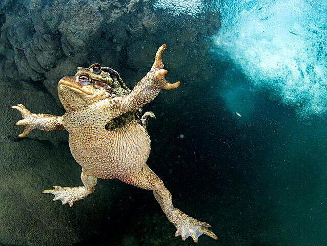 Foto-foto Favorit National Geographic Oktober 2017